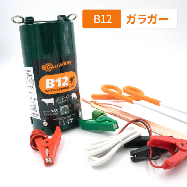 B12セット
