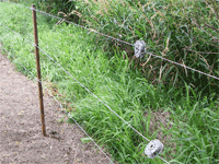 ガラガー緊張具設置2