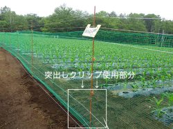 突出しクリップ使用画像