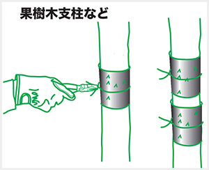 有刺鉄板図