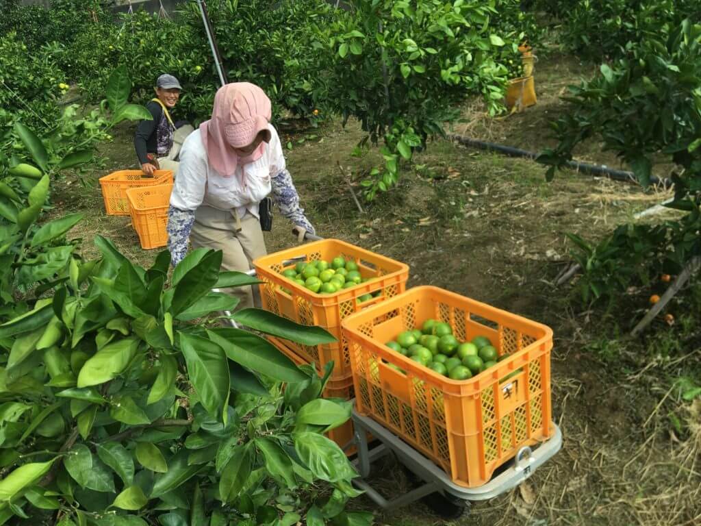 細い不整地も楽々通れる