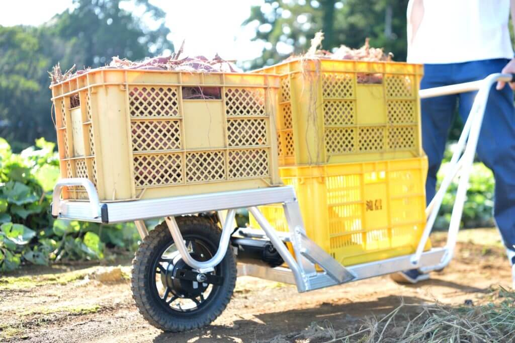 E-cat kit使用イメージ