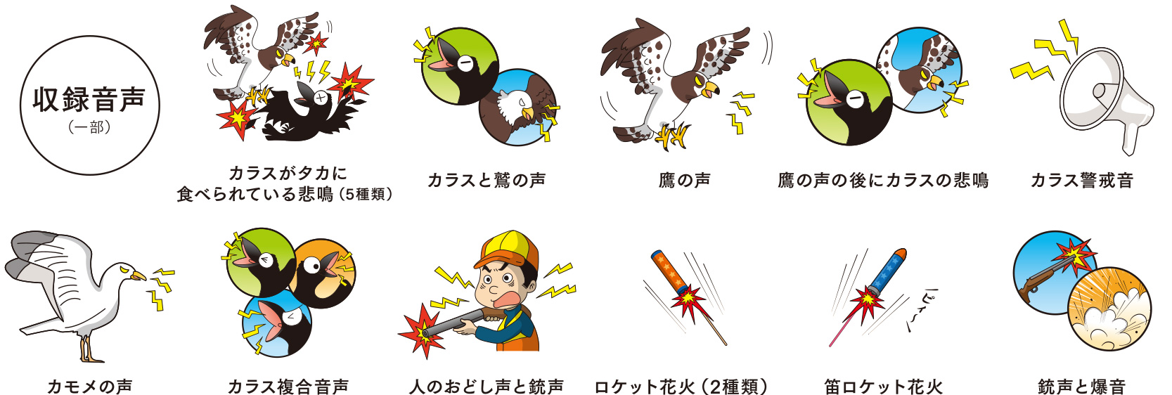 定番のお歳暮＆冬ギフト あっと解消  店カラス用心棒SS バッテリー仕様 カラス 被害 対策 爆音器 威嚇 防犯