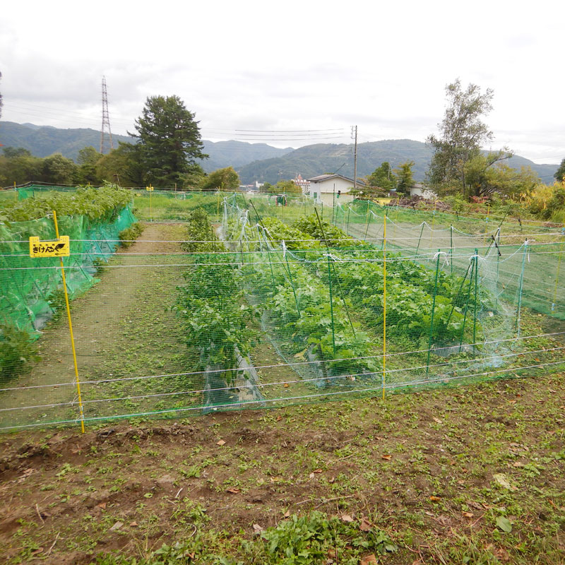 Sシリーズのモニター様の使用風景